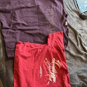 Gymshark Maroon and Red T-Shirt Duo
